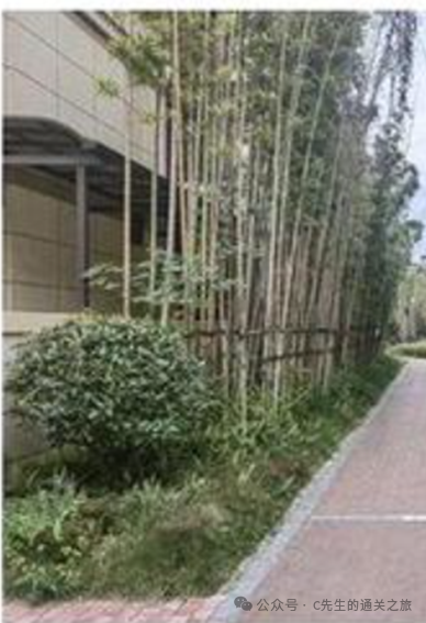 建筑消防验收常见问题解析 - 优集之狐-优集之狐