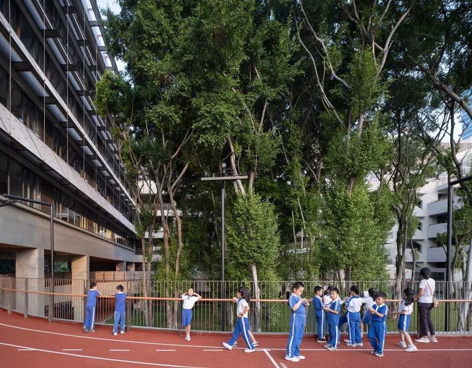图片[19]-拥有抬升操场的校园（二十九）——荔园外国语小学（景田） 直向建筑 - 优集之狐-优集之狐