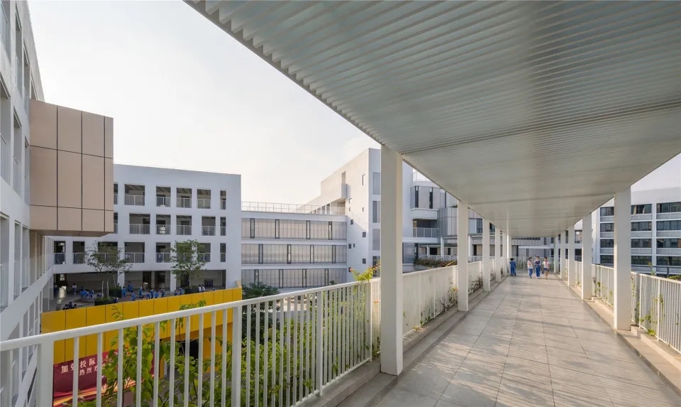 图片[11]-拥有抬升操场的校园（二十七）——环形秩序下的乐园式学校 - 深圳坪山区日新小学 申都设计集团有限公司深圳分公司 - 优集之狐-优集之狐