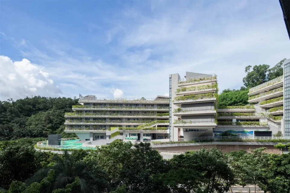 图片[18]-拥有抬升操场的校园（二十）——云端书院 - 深圳福田区实验教育集团侨香学校（北校区） 申都设计集团有限公司深圳分公司 - 优集之狐-优集之狐
