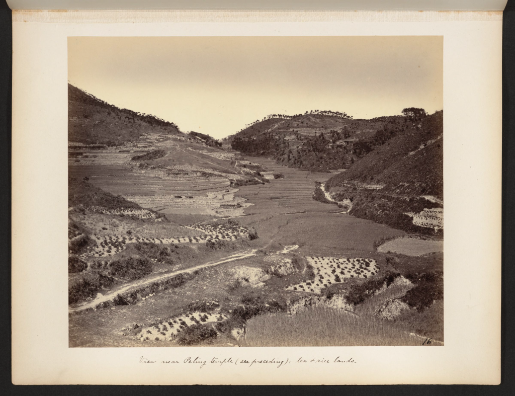 图片[7]-杜德维的相册.北京.福建.江浙沪.广州.By Edward Bangs Drew.1876-1895 - 优集之狐-优集之狐