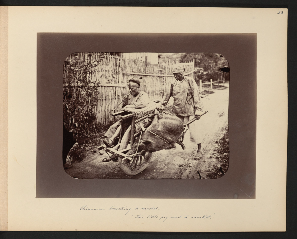 图片[15]-杜德维的相册.北京.福建.江浙沪.广州.By Edward Bangs Drew.1876-1895 - 优集之狐-优集之狐