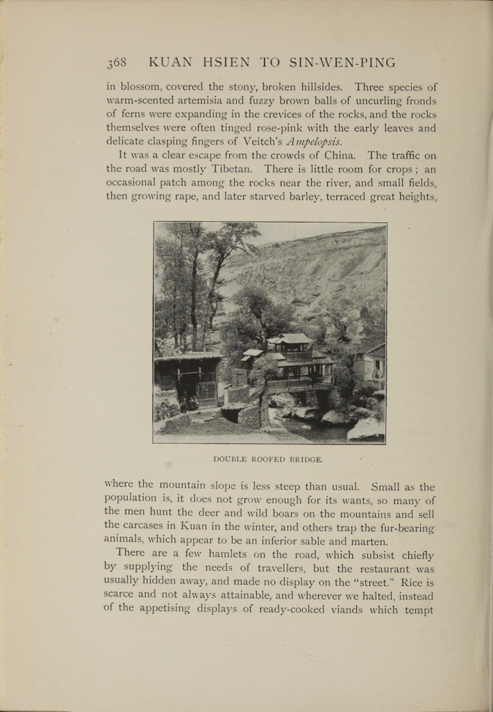 图片[15]-《跨越长江流域》.The Yangtze Valley and Beyond.By Isabella Bird.插图照片.1899年 - 优集之狐-优集之狐